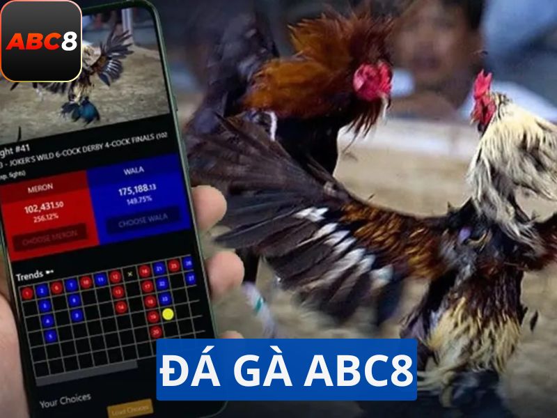 Đá gà ABC8 hình ảnh sắc nét, âm thanh sống động