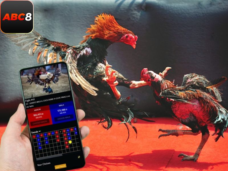 Kết thúc trận đấu khi một chiến kê bị hạ gục hoàn toàn