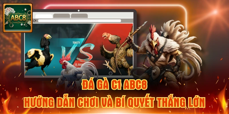 Đá gà C1 ABC8