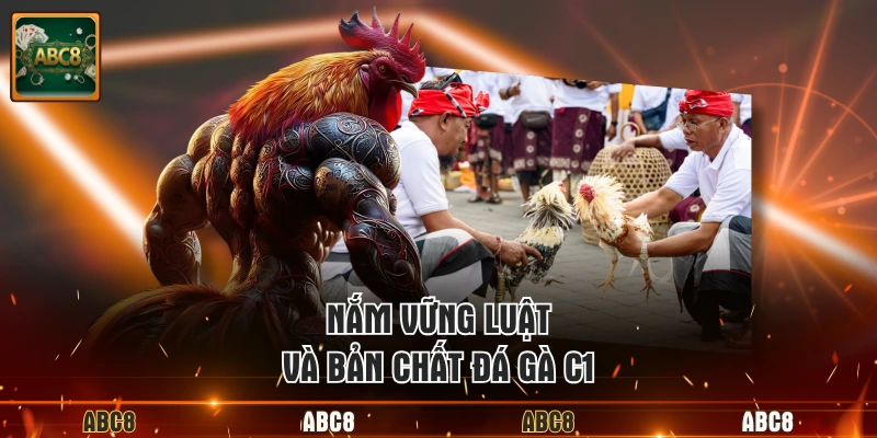 Nắm vững luật và bản chất đá gà C1